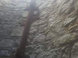 castlepark gate - 14220.jpg